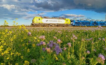 FOTO: Pole v Šelpiciach sa premenilo na pestrofarebné divadlo, miestnym vyrazilo dych