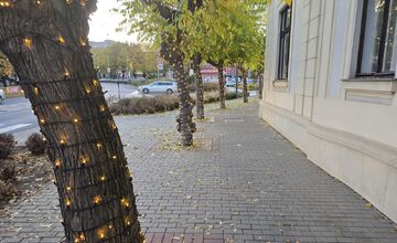 FOTO: V Seredi sa už zvianočnieva