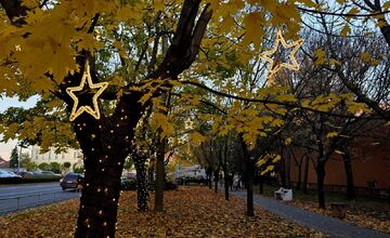 FOTO: V Seredi sa už zvianočnieva
