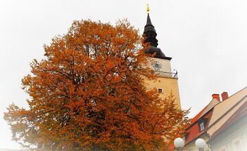 FOTO: Trnavčanka zachytila krásu Trnavy počas jesene