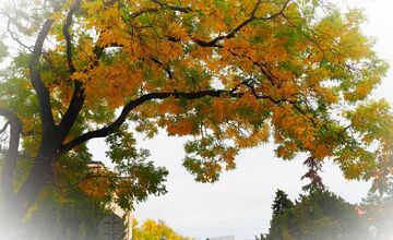 FOTO: Trnavčanka zachytila krásu Trnavy počas jesene