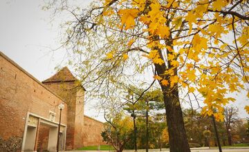 FOTO: Trnavčanka zachytila krásu Trnavy počas jesene