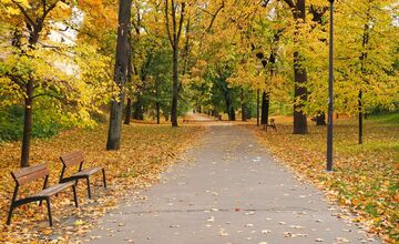 FOTO: Trnavčanka zachytila krásu Trnavy počas jesene