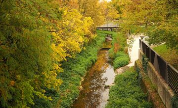FOTO: Trnavčanka zachytila krásu Trnavy počas jesene