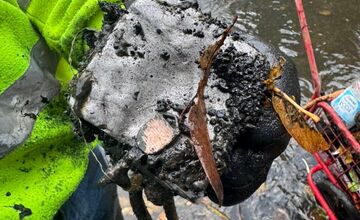 FOTO: Čo tentokrát skrývalo dno Trnávky? Magnetfisheri opäť zasahovali