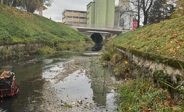 FOTO: Čo tentokrát skrývalo dno Trnávky? Magnetfisheri opäť zasahovali