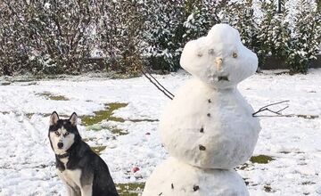 FOTO: Z prvého snehu v Trnave vzniklo hneď niekoľko snehuliakov