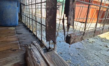 FOTO: Útulok v Skalici prosí o pomoc, chcú vybudovať nové koterce pre zvieratá