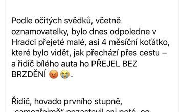 FOTO: Niekoho zneužil mačiatko Yuki na získanie peňazí