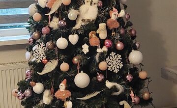 FOTO: Vianočné stromčeky Trnavčanov