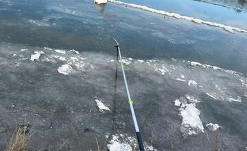 FOTO: Obyvateľ Gbelov vyslobodil zamrznutú labuť