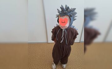 FOTO: Originálny kostým pavúka na karneval