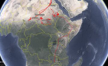 FOTO: Ornitológovia upozorňujú pred krutým osudom bocianov v Afrike