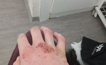 FOTO: Stana niekto zrazil cestou do Hlohovca, hľadá vinníka