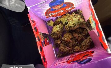 FOTO: Polícia v Trnave chytili dílerov drog