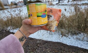 FOTO: Osamelý káčer z Dolného Štálu zmizol