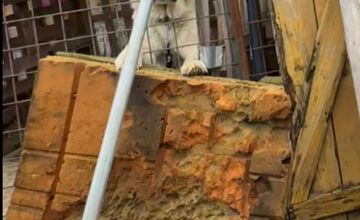 FOTO: Štátna veterinárna správa zasiahla proti chovateľke na Záhorí