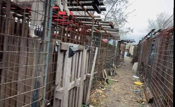 FOTO: Štátna veterinárna správa zasiahla proti chovateľke na Záhorí