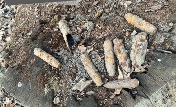 FOTO: V lese v Holíči bola nájdená munícia z 2. svetovej vojny