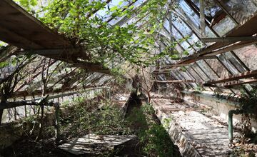 FOTO: Historické skleníky v Zámockej záhrade v Hlohovci môžu zachrániť dobrovoľníci